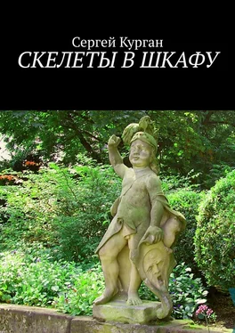 Сергей Курган Скелеты в шкафу обложка книги