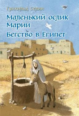 Гунхильд Селин Маленький ослик Марии. Бегство в Египет обложка книги