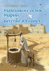 Гунхильд Селин - Маленький ослик Марии. Бегство в Египет
