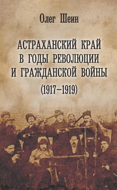 Олег Шеин Астраханский край в годы революции и гражданской войны (1917–1919) обложка книги