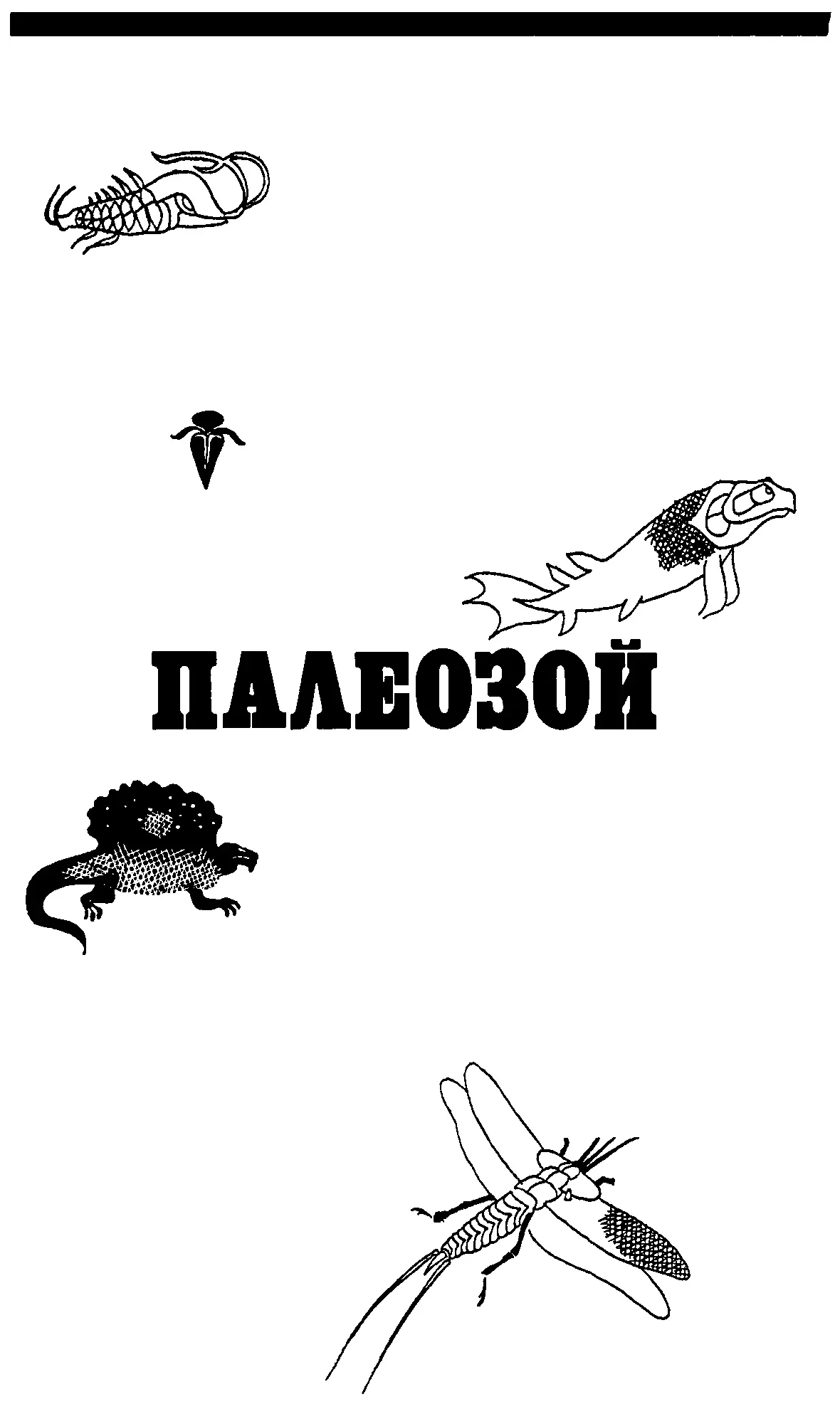 Палеозойская эра следующая во времени за докембрием длилась с 570 до 230220 - фото 7