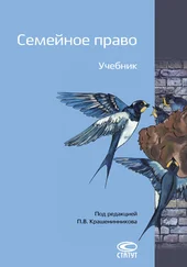 Павел Крашенинников - Семейное право