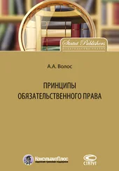 Алексей Волос - Принципы обязательственного права