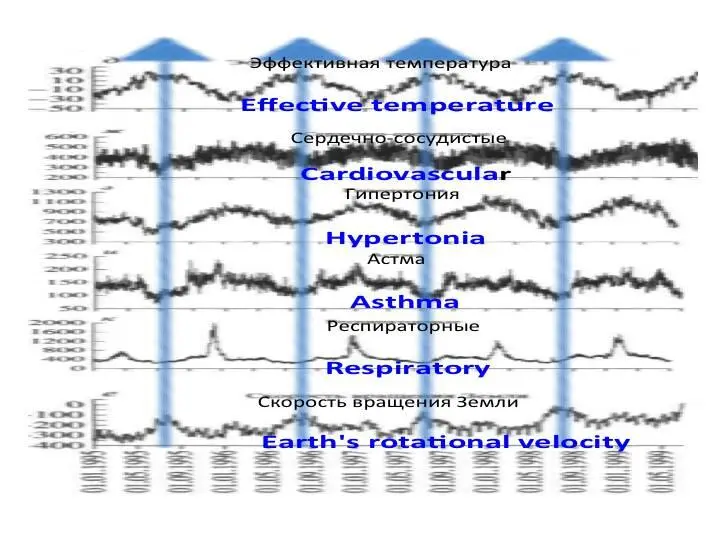 The frequency of ambulance calls is strikingly similar to the shape of the - фото 4
