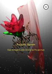 Андрей Шумин - Как похудеть или Охота за Ра-достью