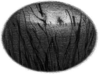 5 Some people claim the Problem has always been with us Ghosts are nothing - фото 12