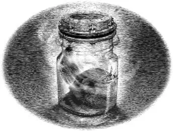6 LOCKWOOD CO Lockwood and Co the wellknown psychic investigations - фото 14