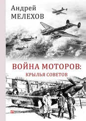 Андрей Мелехов - Война моторов. Крылья советов