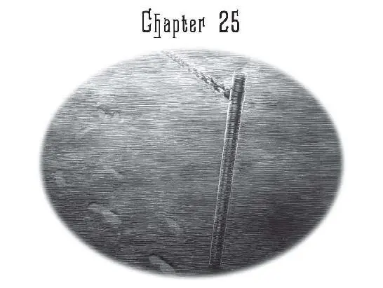 In those first seconds the figure could barely be seen Pale fire ran across - фото 31