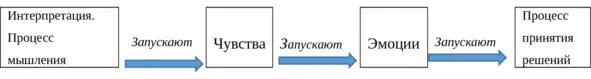 Обе системы являются продуктами эволюции каждая из которых выполняет - фото 2