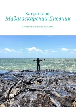 Катрин Лэш Мадагаскарский дневник. В поисках счастья за океанами обложка книги