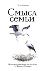 Берта Ландау - Смысл семьи. Практики семейной логотерапии по Виктору Франклу