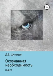 Дмитрий Шульцев - Осознанная необходимость