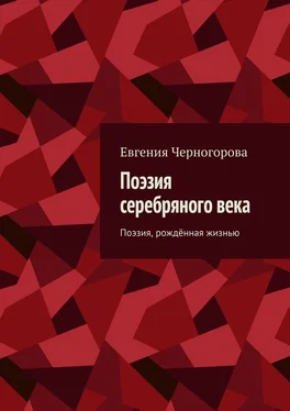 Евгения Черногорова Поэзия серебряного века. Поэзия, рождённая жизнью обложка книги