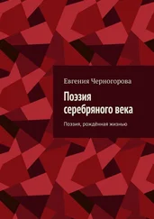 Евгения Черногорова - Поэзия серебряного века. Поэзия, рождённая жизнью