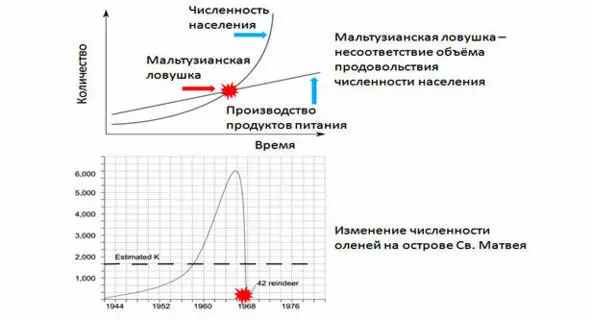 Несоответствие ёмкости природной среды и численности населения Мальтузианская - фото 15