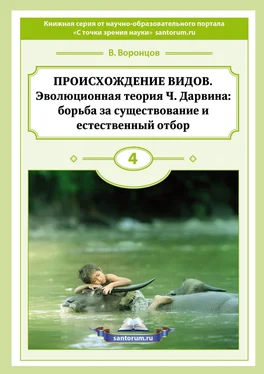 Владимир Воронцов Происхождение видов. Эволюционная теория Ч. Дарвина: борьба за существование и естественный отбор обложка книги