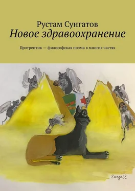 Рустам Сунгатов Новое здравоохранение. Протрептик – философская поэма в многих частях обложка книги