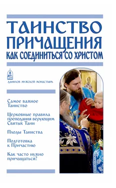 Вячеслав Пономарев Таинство Причащения. Как соединиться со Христом обложка книги