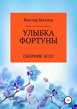 ВИКТОР МЭЛЛЕР Улыбка Фортуны обложка книги