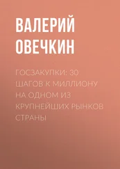 Валерий Овечкин - Госзакупки - 30 шагов к миллиону на одном из крупнейших рынков страны