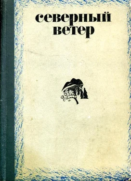 Виктор Потанин Северный ветер обложка книги