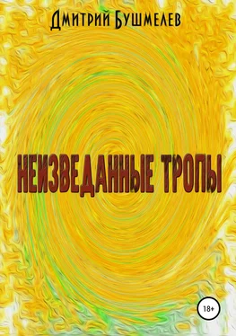 Дмитрий Бушмелев Неизведанные тропы обложка книги