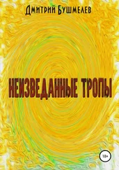 Дмитрий Бушмелев - Неизведанные тропы
