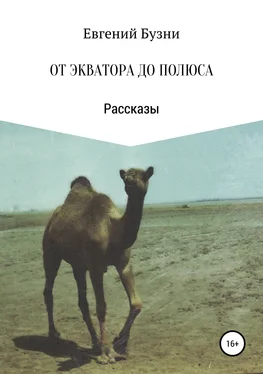 Евгений Бузни От экватора до полюса. Сборник рассказов обложка книги