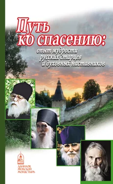 Наталия Шапошникова Путь ко спасению. Опыт мудрости русских старцев и духовных наставников обложка книги