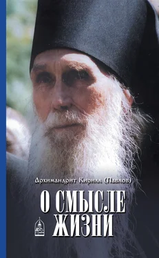 архимандрит Кирилл (Павлов) О смысле жизни обложка книги