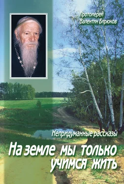 Валентин Бирюков (Протоиерей) На земле мы только учимся жить обложка книги