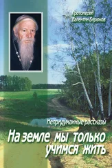 Валентин Бирюков (Протоиерей) - На земле мы только учимся жить