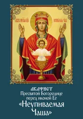 Сборник - Акафист Пресвятой Богородице перед иконой Ее «Неупиваемая Чаша»