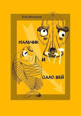 Егор Винокуров Мальчик и САЛОвей. Столкнулись старые враги и новые друзья обложка книги