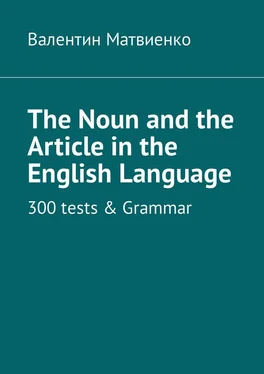 Валентин Матвиенко The Noun and the Article in the English Language. 300 tests & Grammar обложка книги