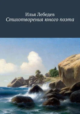 Илья Лебедев Стихотворения юного поэта обложка книги