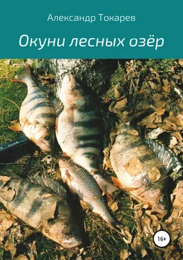 Александр Токарев Окуни лесных озёр обложка книги