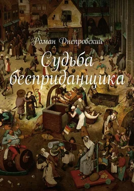 Роман Днепровский Судьба бесприданщика обложка книги