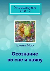 Елена Мир - Управляемые сны – 3. Осознание во сне и наяву