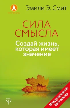 Эмили Эсфахани Смит Сила смысла. Создай жизнь, которая имеет значение обложка книги