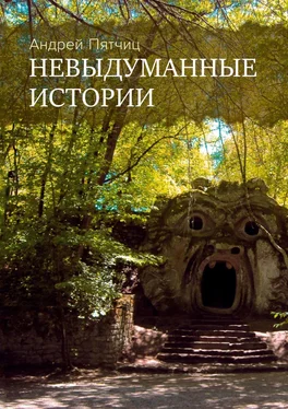 Андрей Пятчиц Невыдуманные истории. Книга первая обложка книги