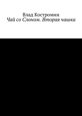 Влад Костромин Чай со Слоном. Вторая чашка обложка книги