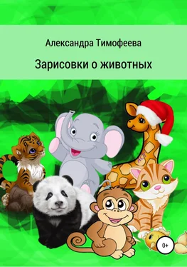 Александра Тимофеева Зарисовки о животных обложка книги
