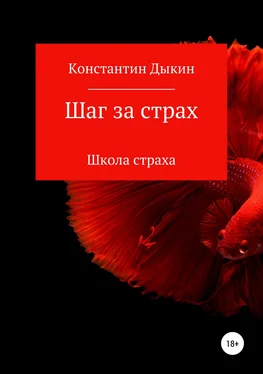 Константин Дыкин Шаг за страх. Школа страха обложка книги