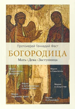 Геннадий Фаст Богородица. Мать. Дева. Заступница обложка книги