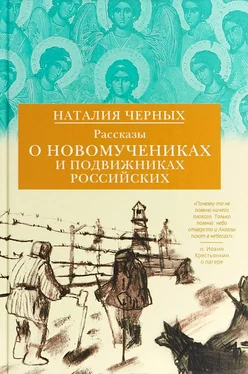 Наталия Черных Рассказы о новомучениках и подвижниках Российских обложка книги