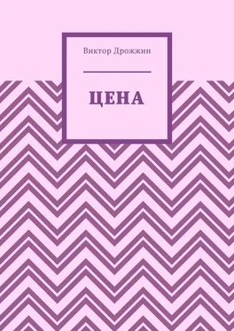 Виктор Дрожжин Цена обложка книги