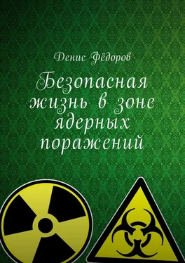 Денис Фёдоров Безопасная жизнь в зоне ядерных поражений обложка книги