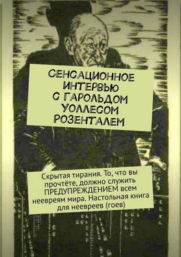 Дмитрий Литвин Сенсационное интервью с Гарольдом Уоллесом Розенталем обложка книги